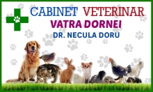 Cabinet Veterinar Vatra Dornei