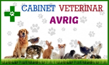 Cabinet Veterinar Avrig