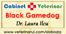 Cabinet Veterinar Fetesti