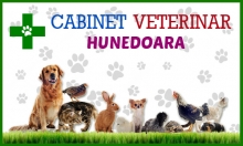 Cabinet Veterinar Hunedoara