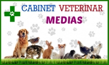 Cabinet Veterinar Medias
