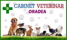 Cabinet Veterinar Oradea