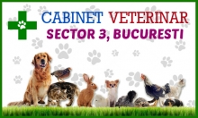 Cabinet Veterinar Bucuresti-Sector 3