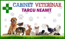Cabinet Veterinar Targu Neamt