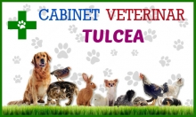 Tulcea - Cabinet Veterinar Tulcea