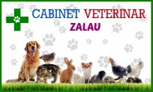 Cabinet Veterinar Zalau