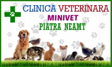 Piatra Neamt - Clinica Veterinara MINIVET
