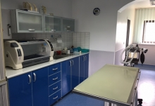 Fotografia 11 — Cabinet veterinar Buzau -  HelpVet