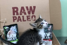 Cabinete Veterinare Bucuresti-Sector 6 Spital Veterinar - PRIMA VET