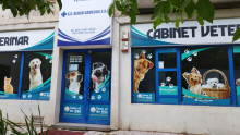 Fotografia 1 — Cabinet Veterinar Fierbinti Targ -  Black Gamedog